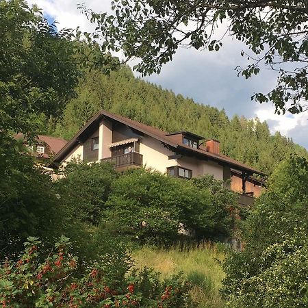 Haus Agnes, Мурау Екстер'єр фото